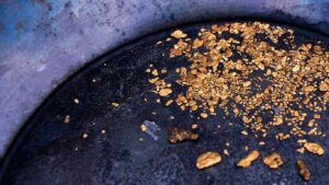 gold paydirt for sale