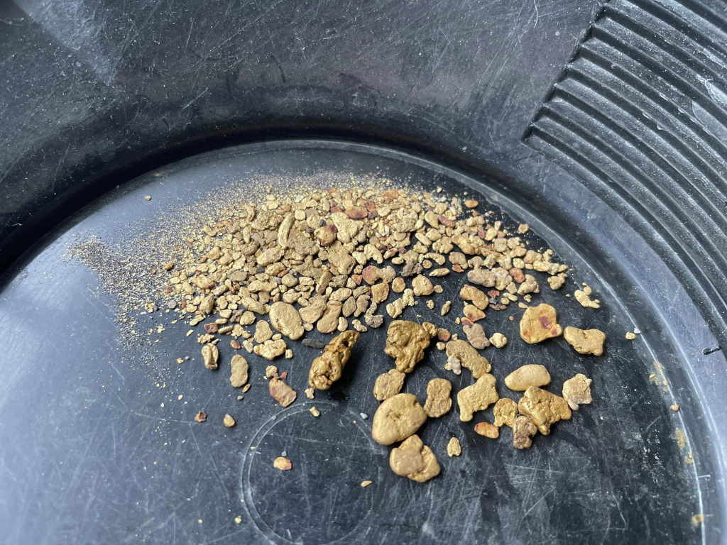 gold nugget paydirt
