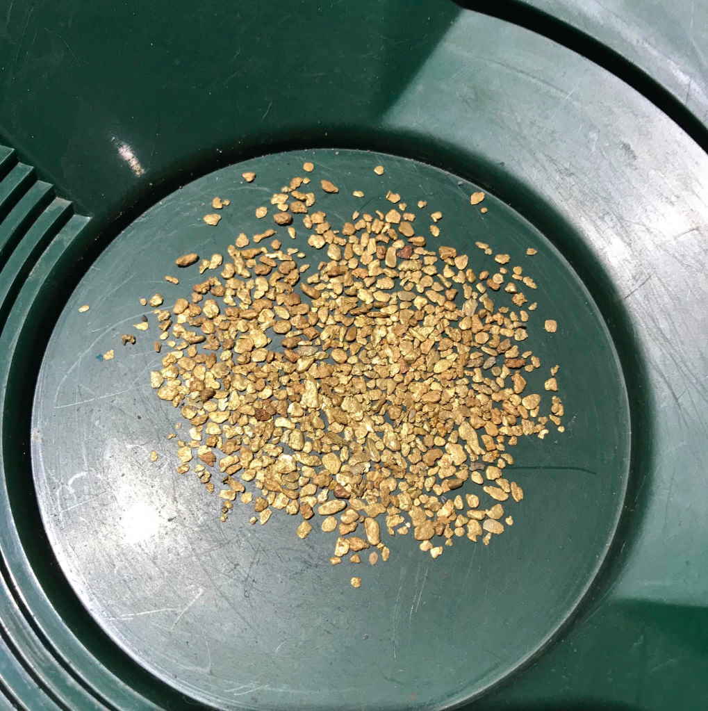 gold nugget paydirt