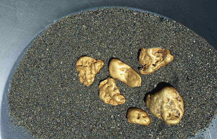 gold paydirt