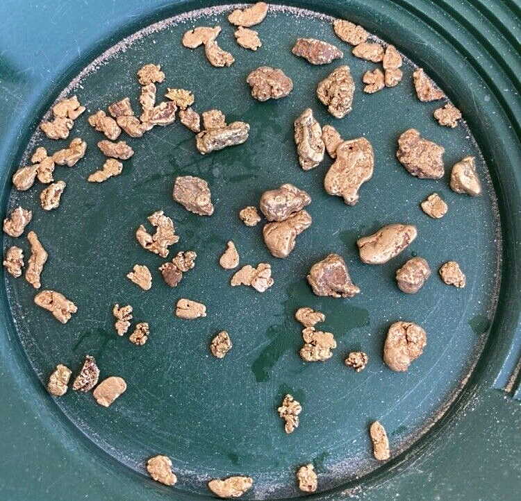 gold paydirt