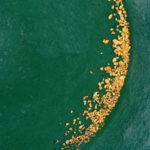 best gold paydirt