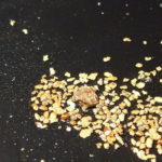 best gold paydirt