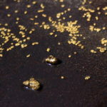 best gold paydirt