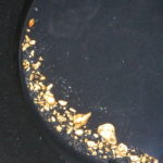 best gold paydirt