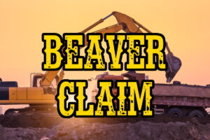 Beaver Claim Paydirt - Gold Paydirt For Sale:  Gold Nuggets.  Free Express Shipping!  The Claim That Made Us Famous!  Expect To Find Plenty Of Gold Nuggets In Each Bag Of This Phenomenal Paydirt!