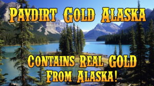 Paydirt Gold Alaska shop now