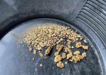 gold nugget paydirt