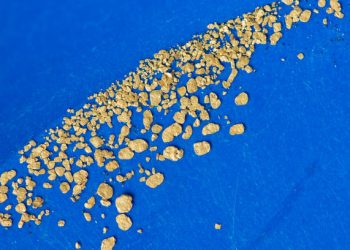 gold paydirt bags