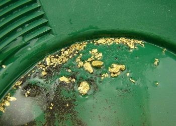 gold nuggets in a green gold pan