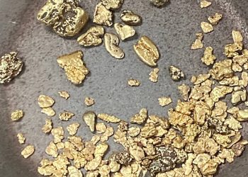 paydirt for sale